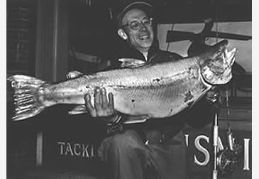 429_Ross Hall_Bull Trout_Salvelinus confluentus.jpg